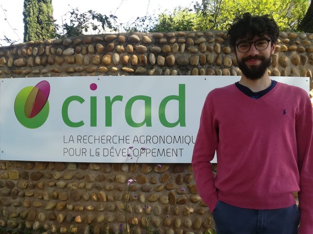 Maurizio Crupi at CIRAD research seminar
